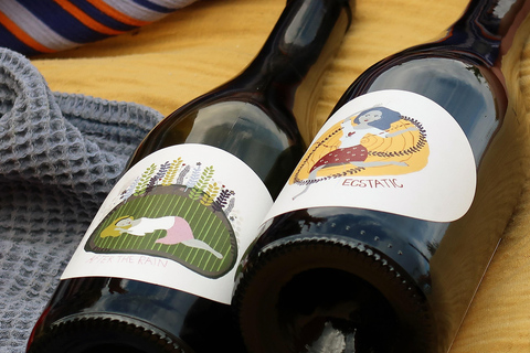 Bratislava: Vineyard Walk and Wine Picnic with Winemaker