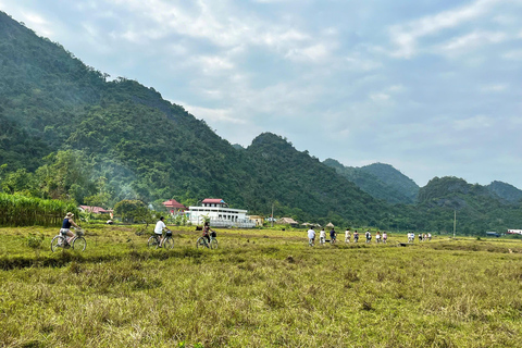 Hanoi/Port : 2-Day Ha Long & Lan Ha Bay on Luxury Cruises Limousine Bus from Hanoi to Ha Long