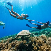 Bali: Manta Ray Snorkeling Experience