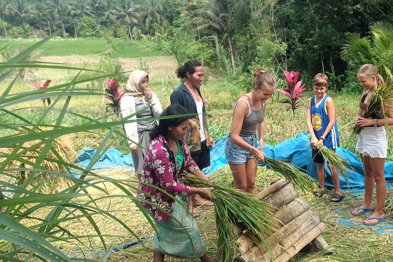 特特巴图：瀑布、香料、梯田、猴子森林特特巴图之旅、香料、瀑布、梯田、猴林