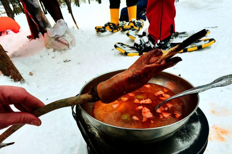 Levi: Snowshoe Survival Experience
