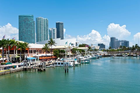 From Orlando: Miami Full-Day Hop-on-Hop-off City Tour