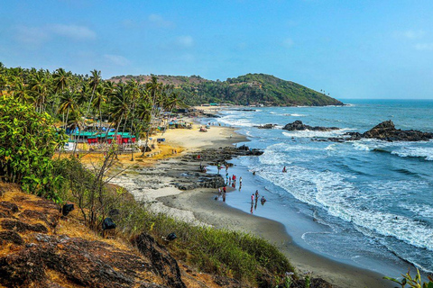 Esplorazione dell'India meridionale: dal Karnataka a Goa con hotel a 3 stelleEsplora il sud dell'India: dal Karnataka a Goa con hotel a 3 stelle