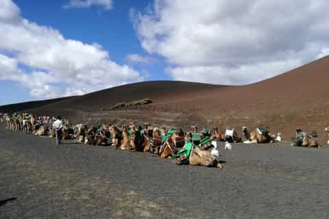 Lanzarote Full-Day Highlights Tour