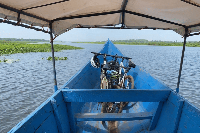 From Entebbe/Kampala: Mabamba Wetland & Village Tour