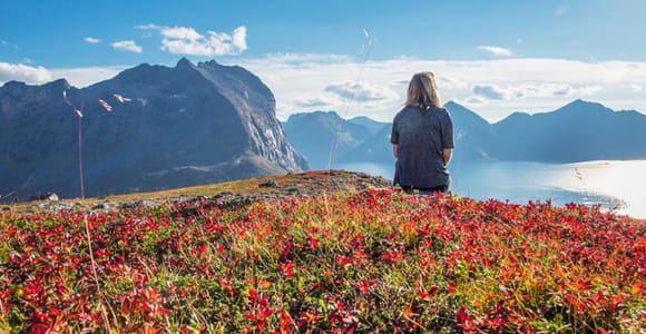 Tromso: Fjord Arctic Adventure Expedition