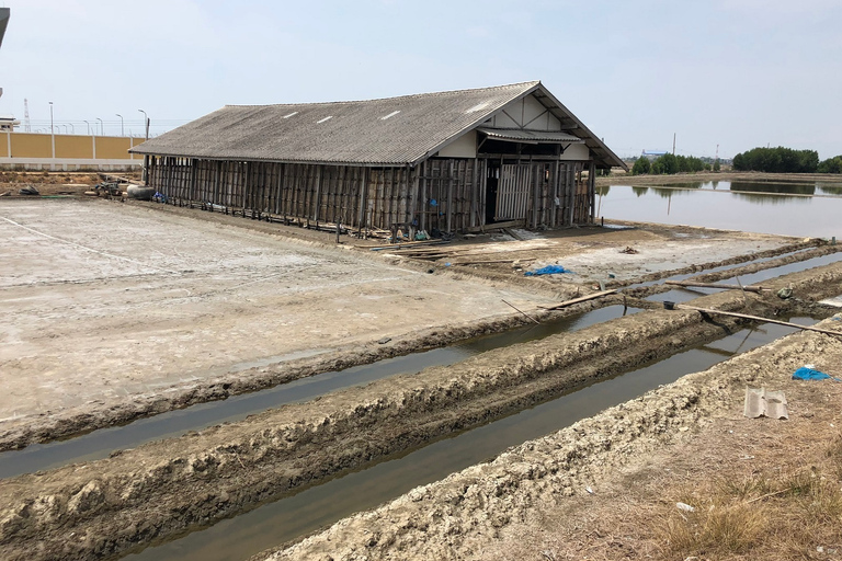 Damnoen Saduak Floating Market & Maeklong Train Market Tour Premium 9 seat with hotel pick up and drop off