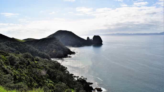 coromandel private coastal walk day tour