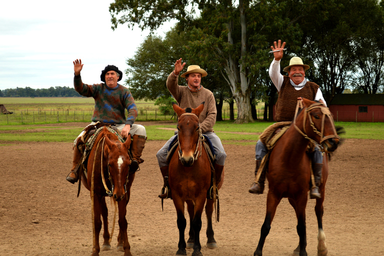 Full-Day at Santa Susana Ranch with BBQ, Drinks and Show