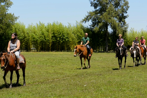 Buenos Aires : journée gaucho au ranch Don Silvano