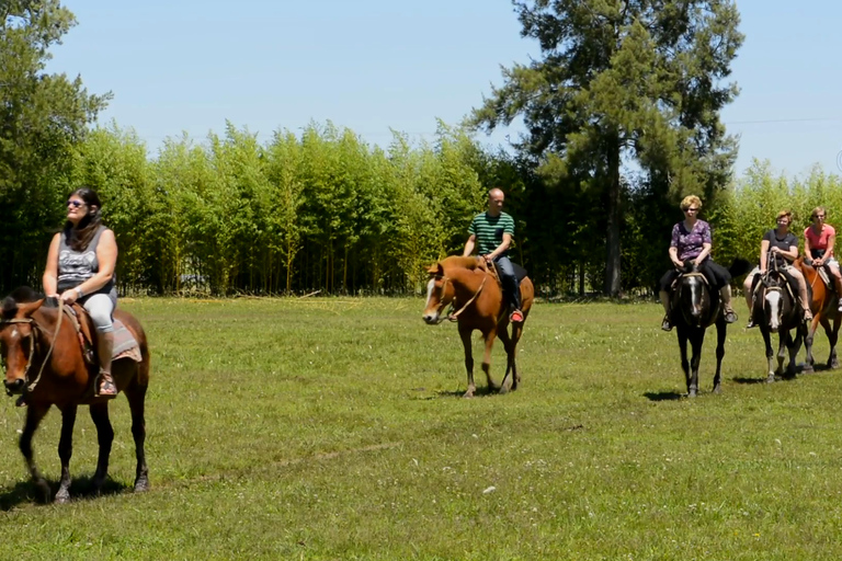 Buenos Aires: excursión de un día a la estancia Don Silvano