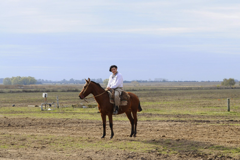 Buenos Aires: Viagem de 1 dia ao Rancho Gaúcho Don Silvano