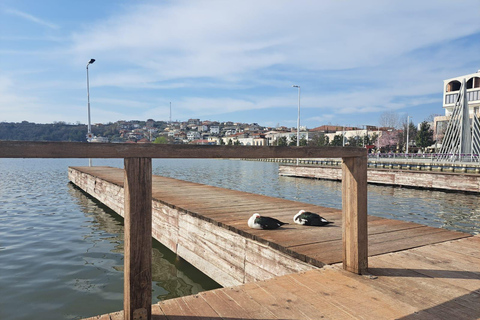 Private from Tirana: Berat & Belshi Lake with Museum Entry