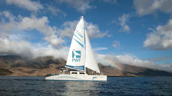 maui honolua bay snorkel and sail desde el puerto de lahaina