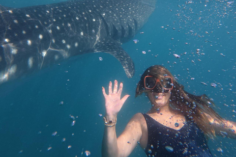 Cebu: Adventure Escape 4 Days & 3 Nights All-In Experience