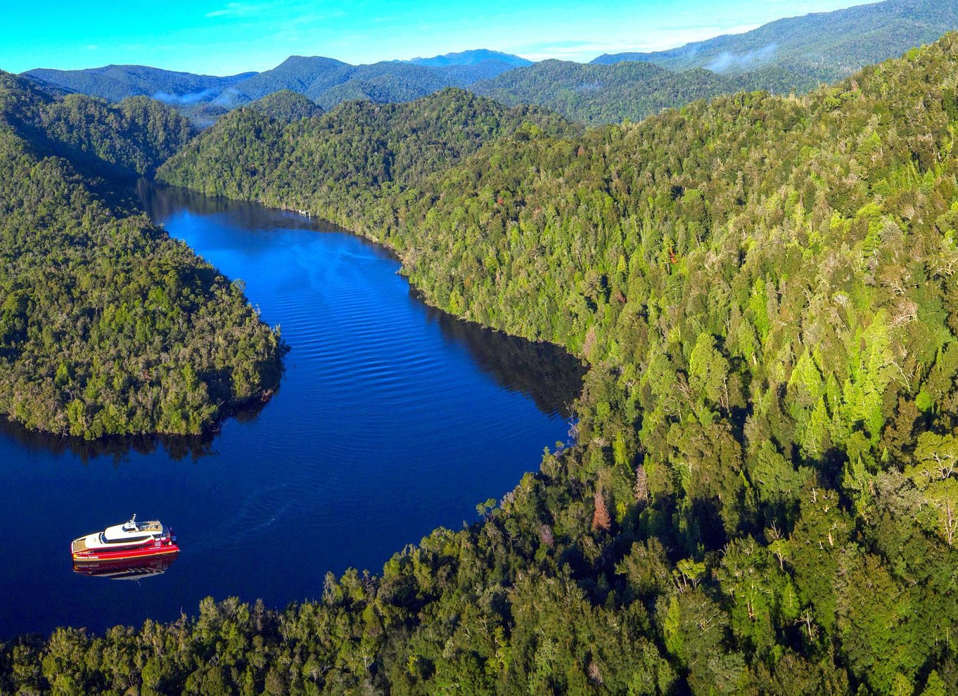 Strahan: Verdensarvskrydstogt på Gordon River med frokost