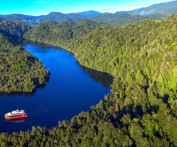 Strahan: World Heritage Cruise on Gordon River with Lunch