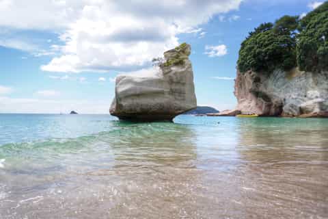 Ab Coromandel: Cathedral Cove & Hot Water Beach Tagestour