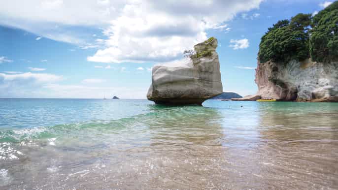 coromandel cathedral cove hot water beach day tour