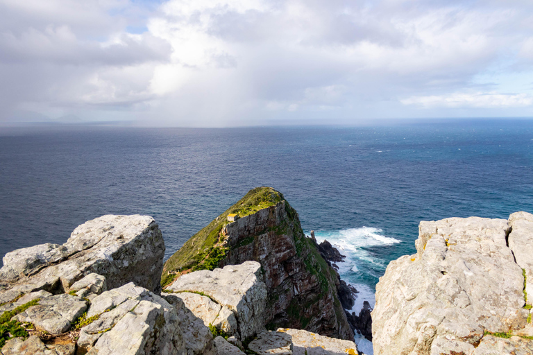 Cape Peninsula: Private Half Day Tour