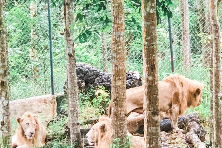 Cebú:Excursión de un día al Parque de Aventuras Safari de Cebú