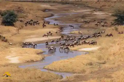 3 dias de vida selvagem! Tarangire, Lago Manyara e Ngorongoro.