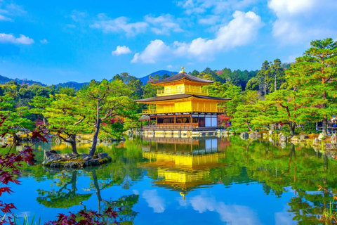 Kyoto & Nara: Exclusive Full-Day Private Tour with Pickup