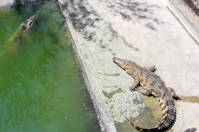 Mekong Delta: Mijn Tho & Ben Tre-dagtour in kleine groep