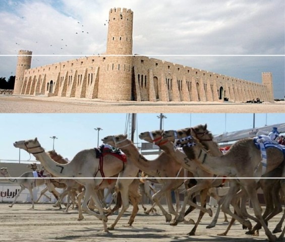 Visit Doha Camel Racing Track Oryx Farm & Sheikh Faisal Museum. in Doha, Qatar