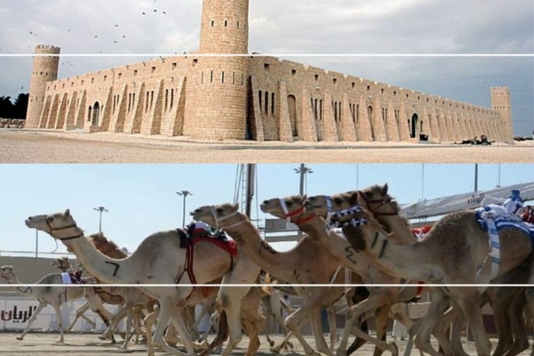 Piste de course de chameaux de Doha : Ferme Oryx et Musée Sheikh Faisal.Doha : Oryx Watch, piste de course de chameaux et musée Sheikh Faisal