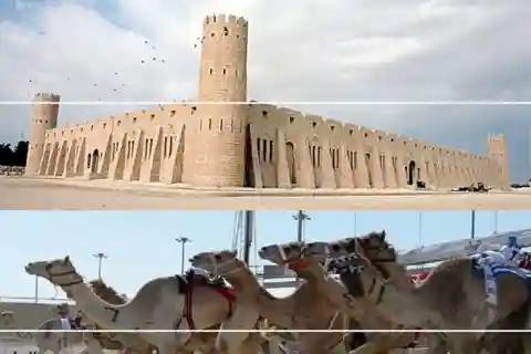 Kamelrennbahn in Doha: Oryx Farm & Sheikh Faisal Museum.