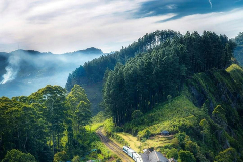 Kandy: Nuwara Eliya, Ambewela Drop Tour & Ella Train journey Kandy: Nuwara Eliya, Ambewela Drop Tour by car or van