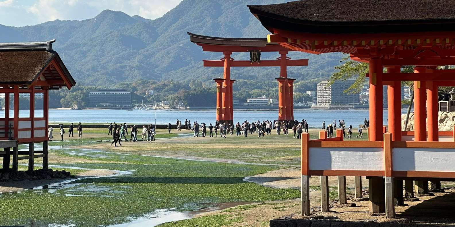 Hiroshima Miyajima tour — Peace Memorial and Miyajima Island — image 64