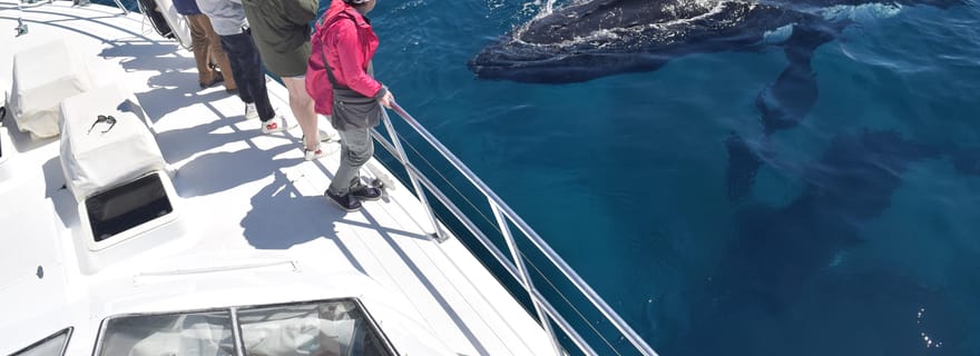 Croisière observation des baleines au départ de Busselton, Augusta ou Dunsborough