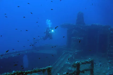Atene: Immersioni avventurose a Nea Makri per subacquei certificati