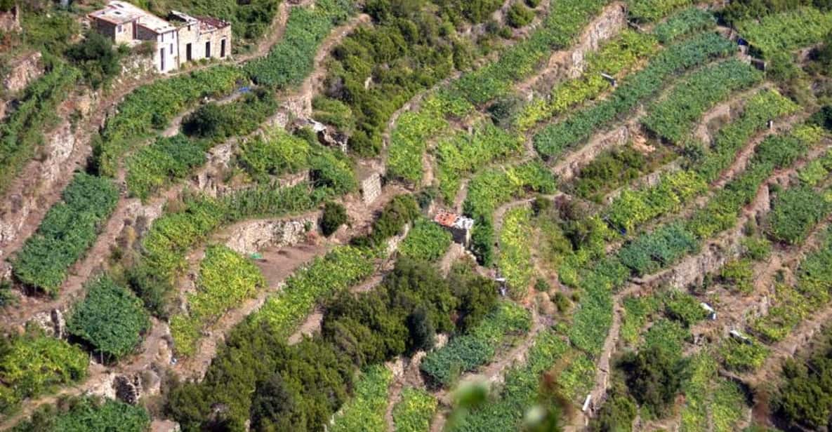 Cinque Terre Private Tour with Wine Tasting