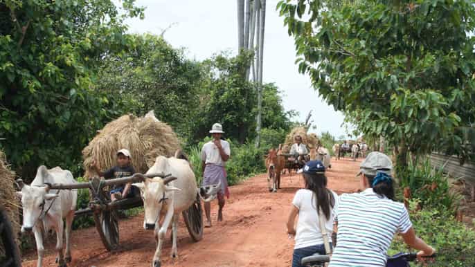 from siem reap halfday countryside bicycle tour