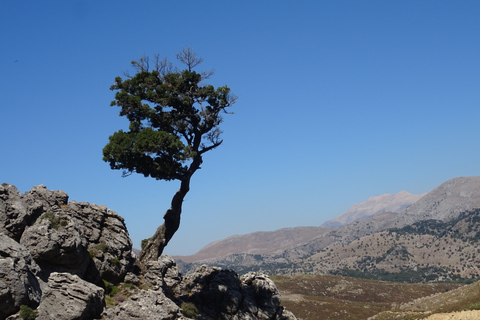 Georgioupoli: safari di 1 giorno in Land RoverTour con prelievo dalla zona di Kalyves e Almyrida