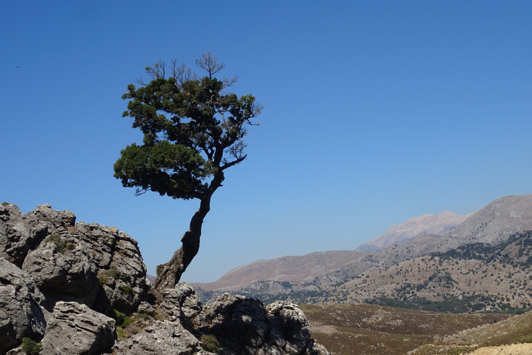 Georgioupoli: safari di 1 giorno in Land RoverTour con prelievo dalla zona di Kalyves e Almyrida