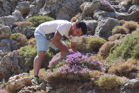 Georgioupolis: Ganztägige Landrover-SafariTour mit Abholung in Chania und Umgebung