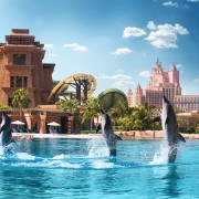 Dubai: nuotata con i delfini ed esplorazione all'Atlantis