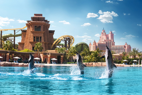 Dubai: Zwemmen met dolfijnen in het Atlantis Waterpark