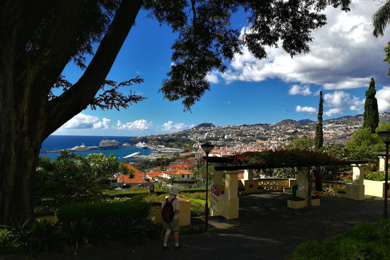 Funchal: tour della città in TukxiTour in inglese, portoghese o spagnolo