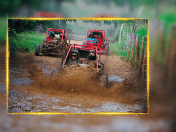 Bayahibe: Buggy tour amazing half-day