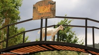 Private Tour to 20 Wine Tasting in Stellenbosch &Franschhoek - Housity