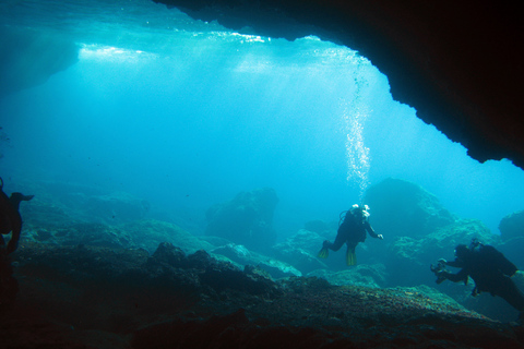 Athene: Adventure Dives in Nea Makri voor gecertificeerde duikersOostkust van Athene: 1 kustduik - 3 uur