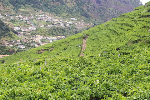 Madeira: Cabo Girão, degustação de vinhos e passeio de jipe pela Serra d&#039;ÁguaMadeira: Passeio de jipe, passeio no Cabo Girão e degustação de vinhos