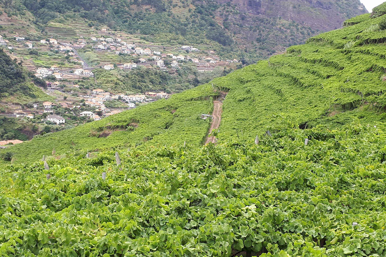 Ab Funchal oder Caniço: Natur- & Weintour im Geländewagen