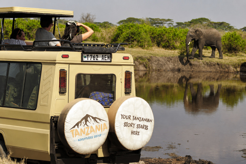 From Arusha: 3-Day Tarangire, Ngorongoro, & Manyara Safari