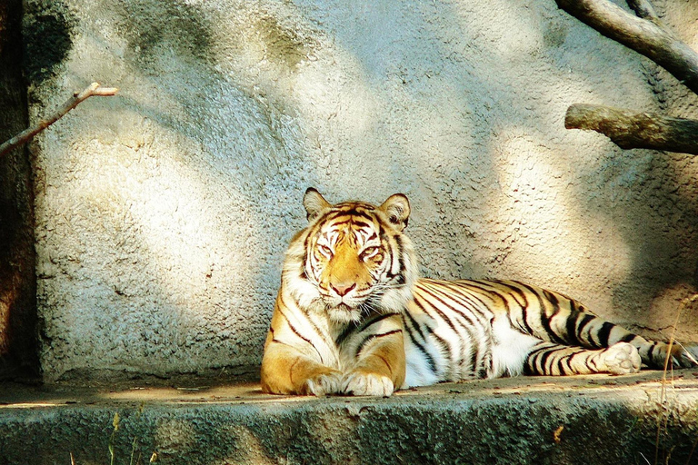 Seattle: Woodland Park Zoo Wildlife Guided Tour